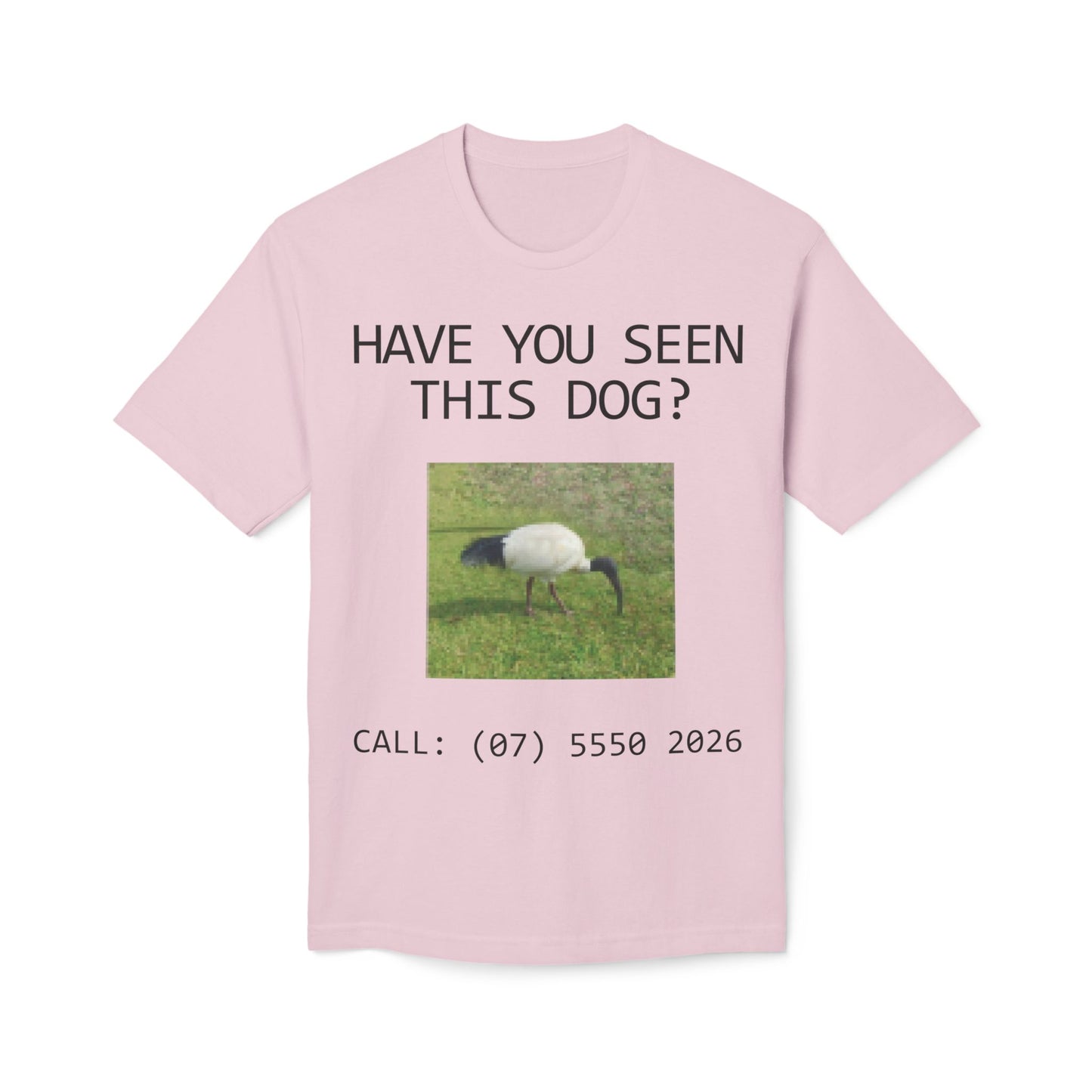 Have You Seen This Dog?
