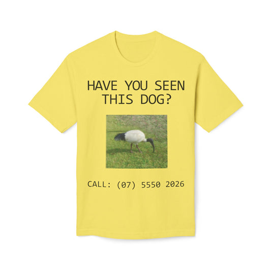 Have You Seen This Dog?