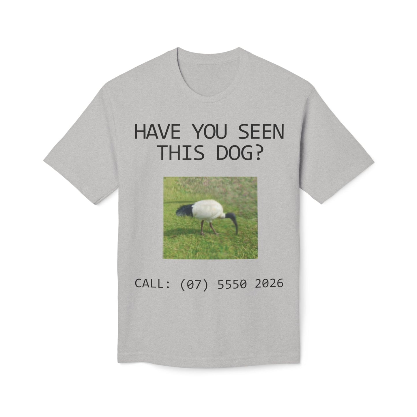 Have You Seen This Dog?