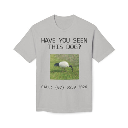 Have You Seen This Dog?