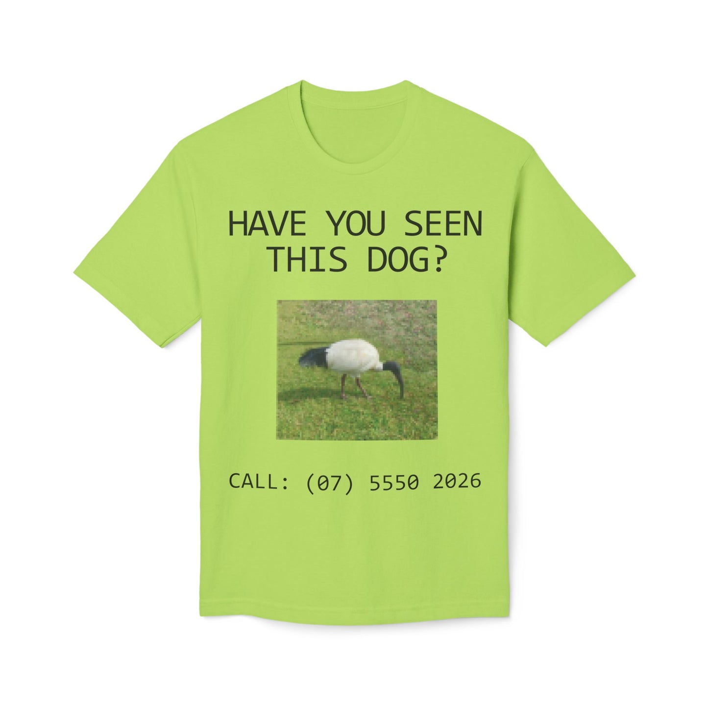 Have You Seen This Dog?