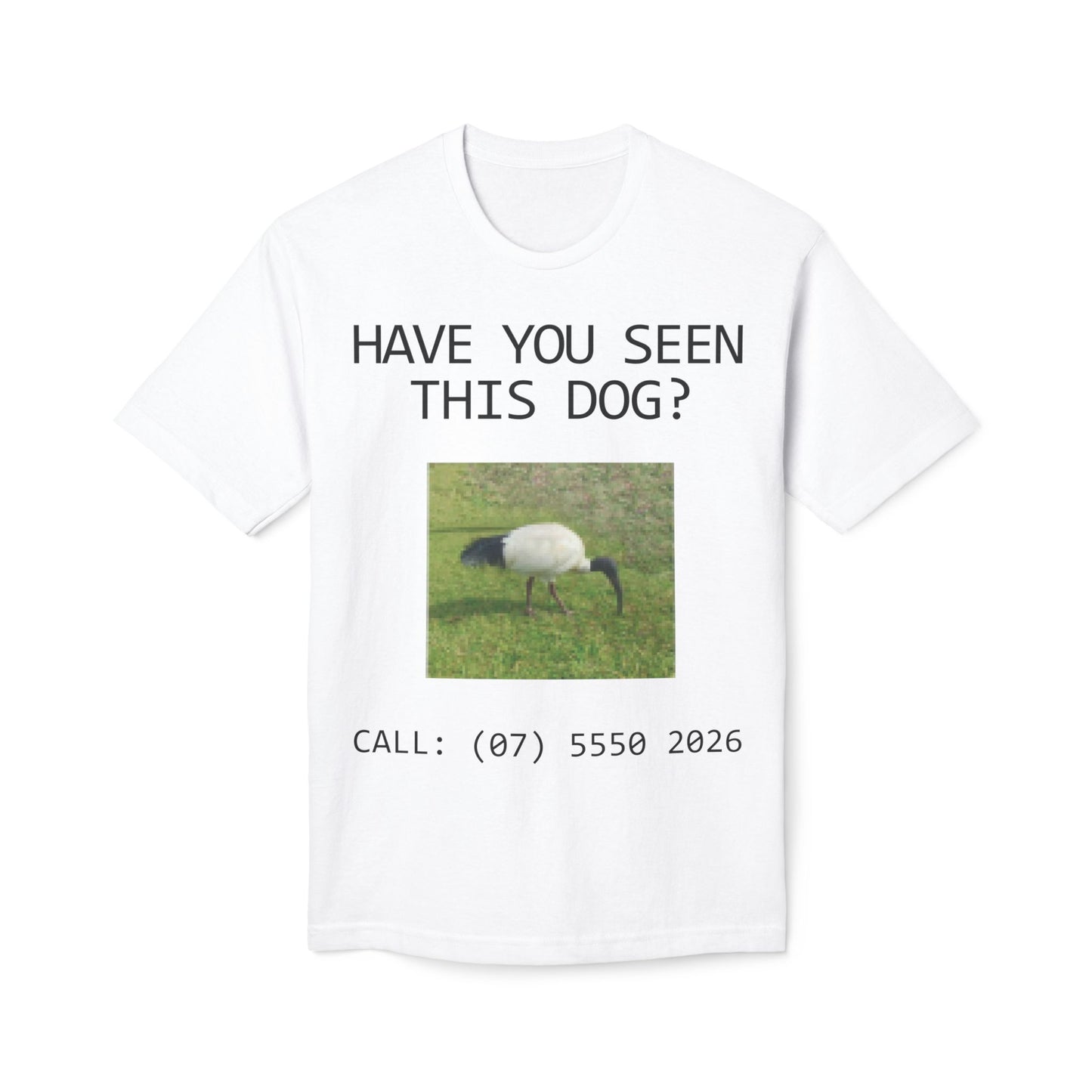 Have You Seen This Dog?