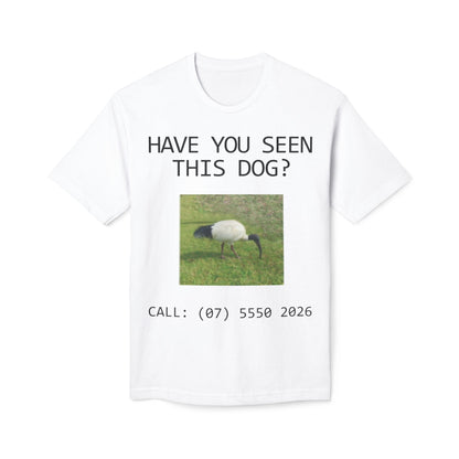 Have You Seen This Dog?