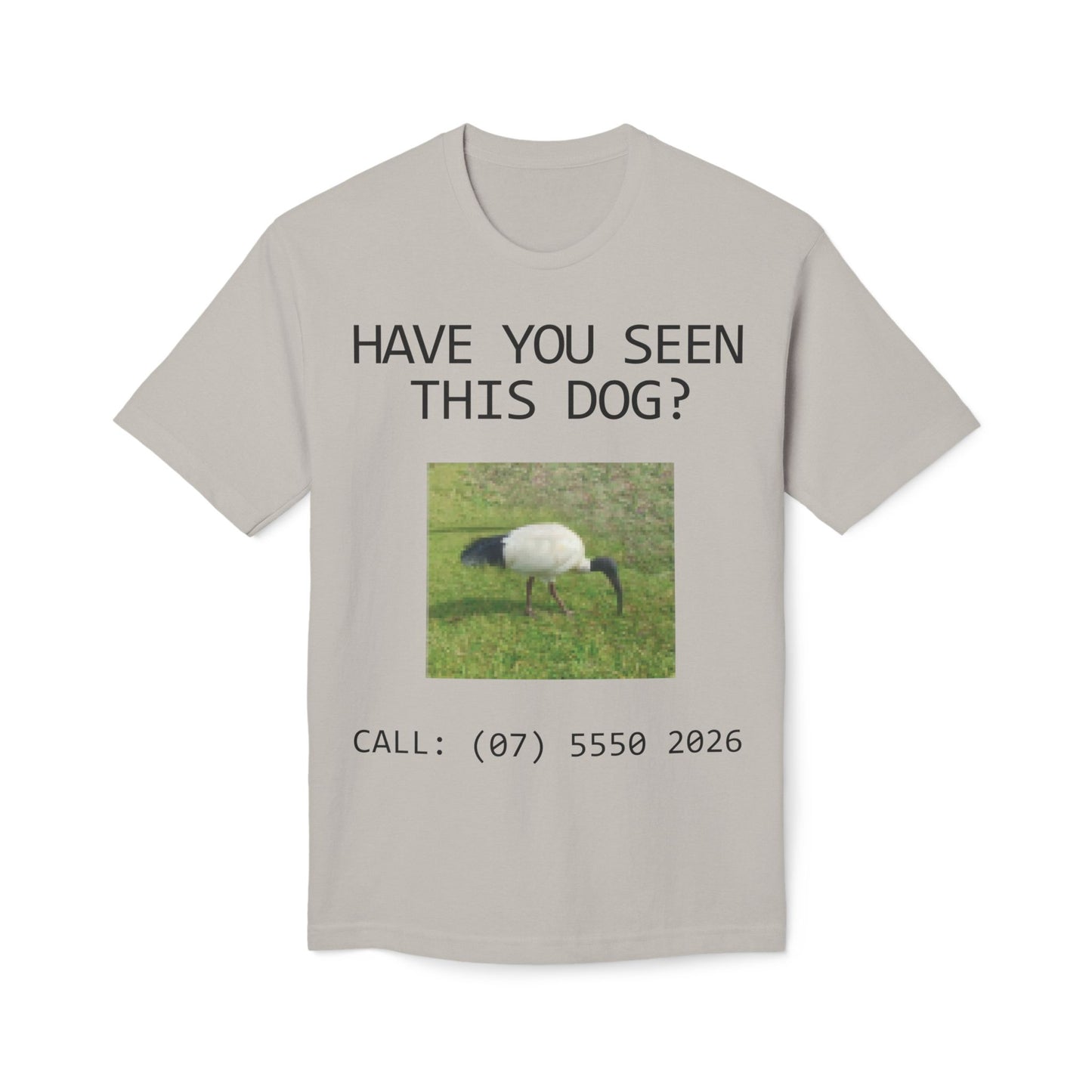 Have You Seen This Dog?