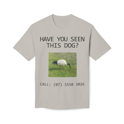 Have You Seen This Dog?