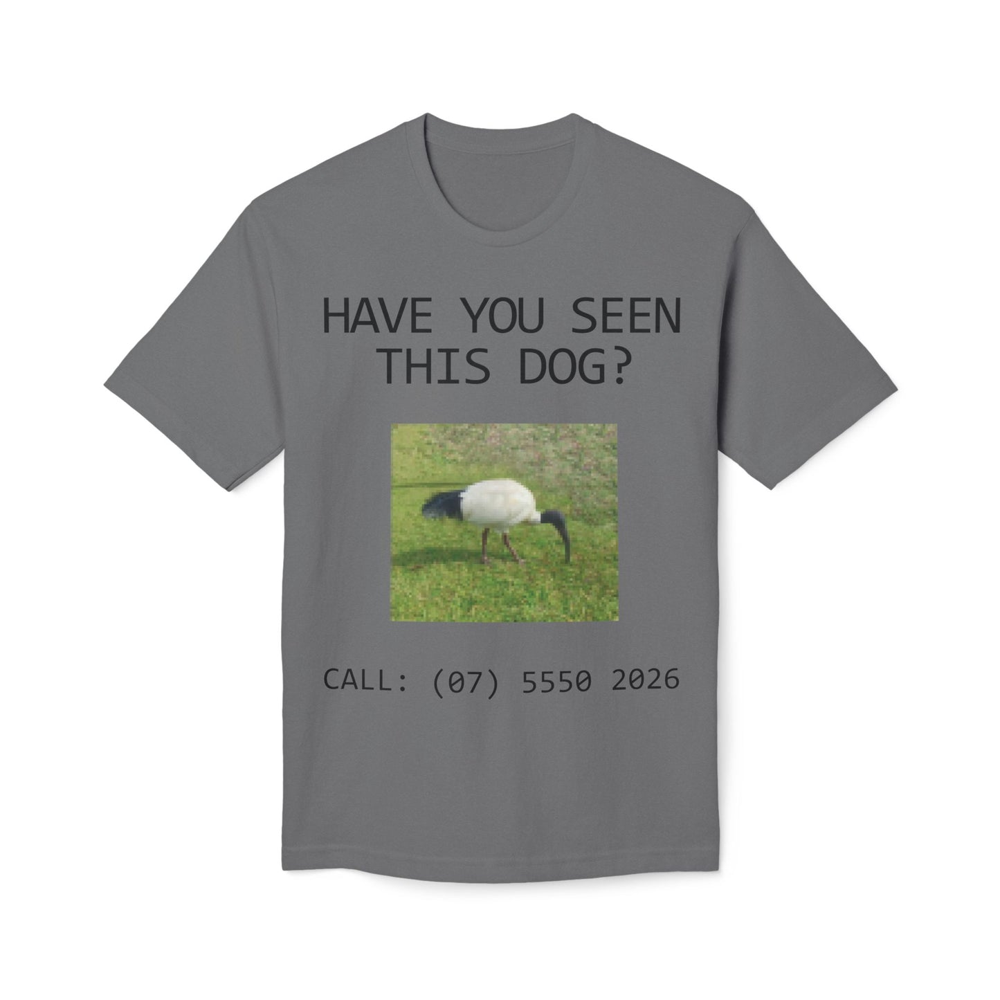 Have You Seen This Dog?