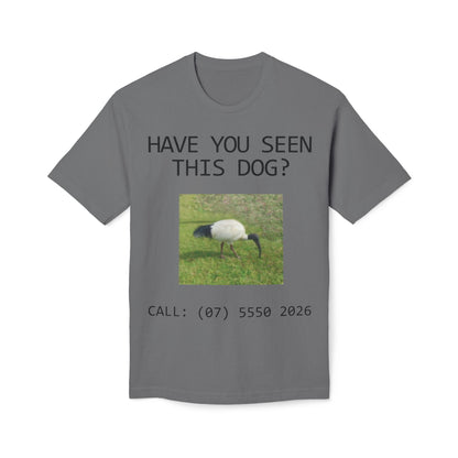 Have You Seen This Dog?